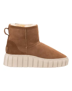 Alexa boots