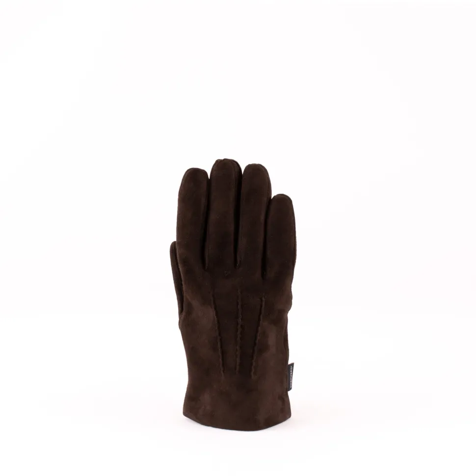 Harry gloves