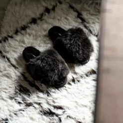 Tessan slippers
